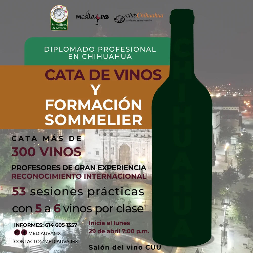 flyer diplomado sommelier chihuahua